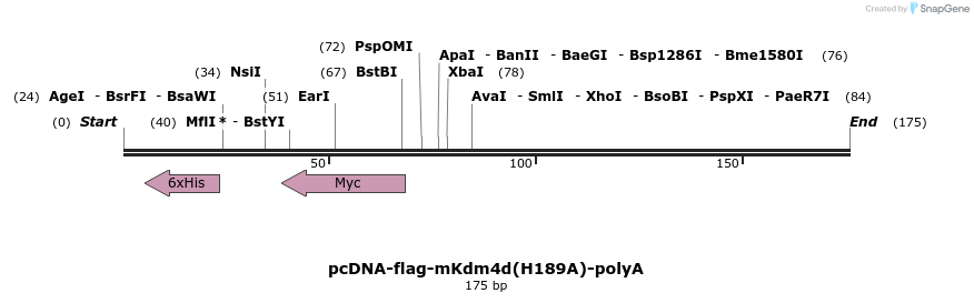 101798_map