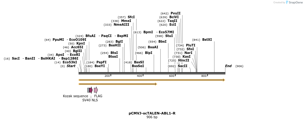 101799_map