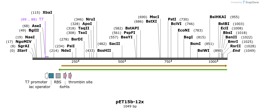 101804_map
