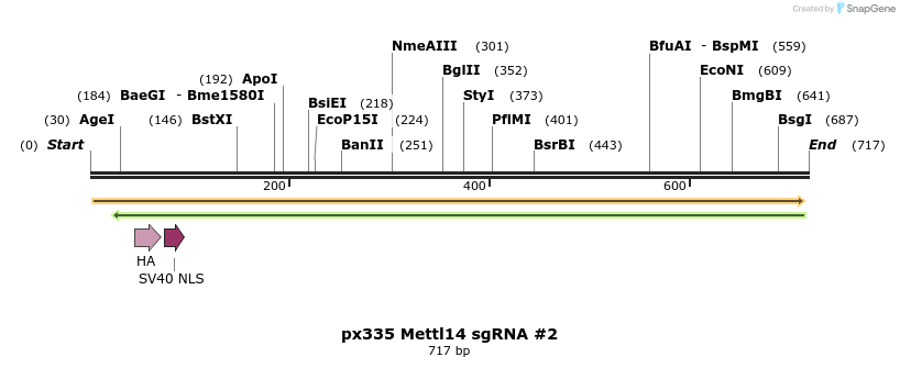 101809_map