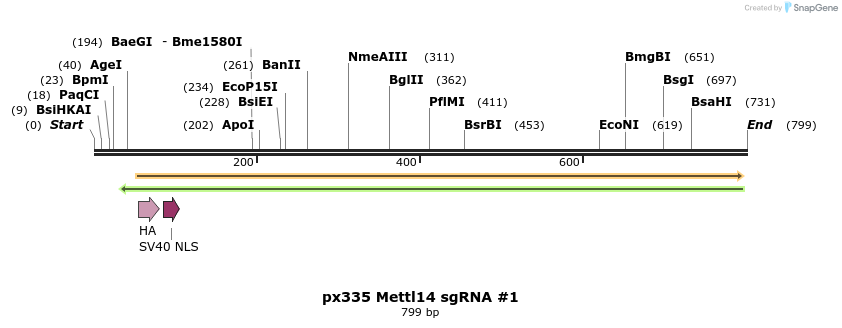 101811_map