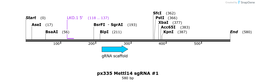 101812_map