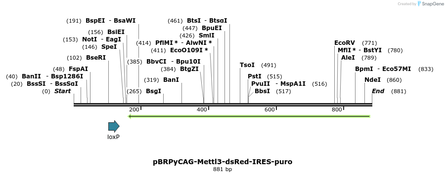 101822_map