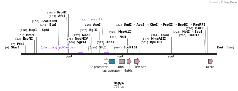 101831_map