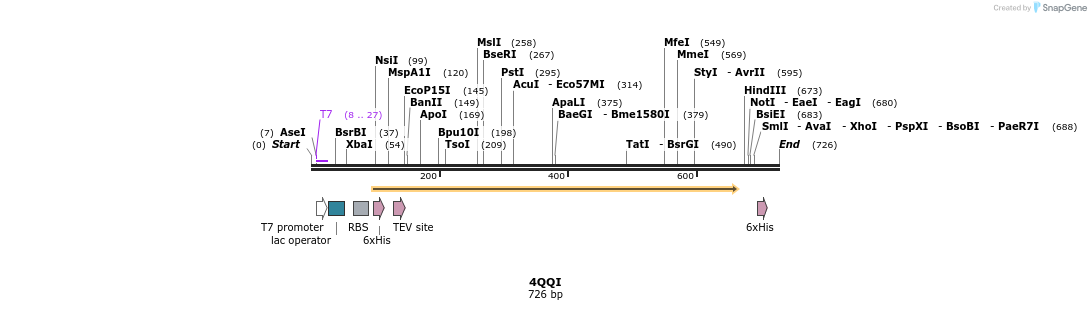 101835_map