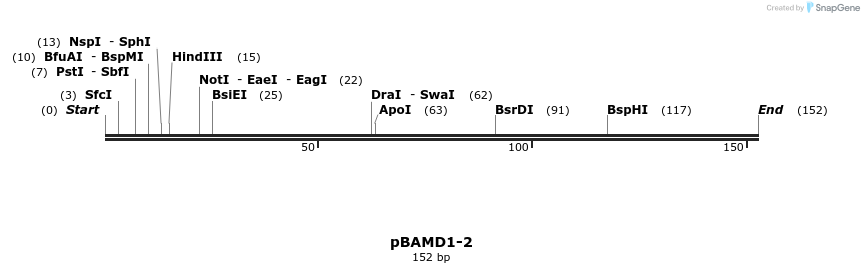 101838_map
