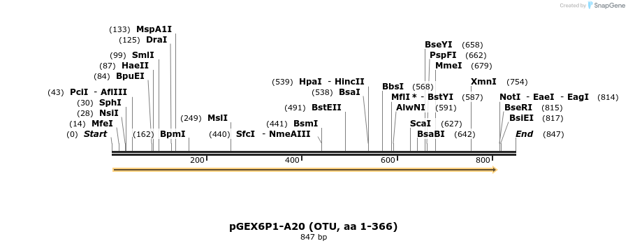 101843_map