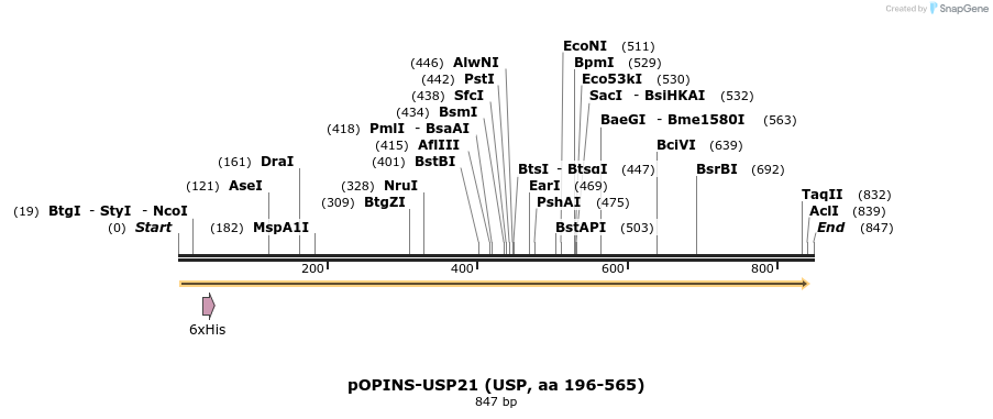 101845_map