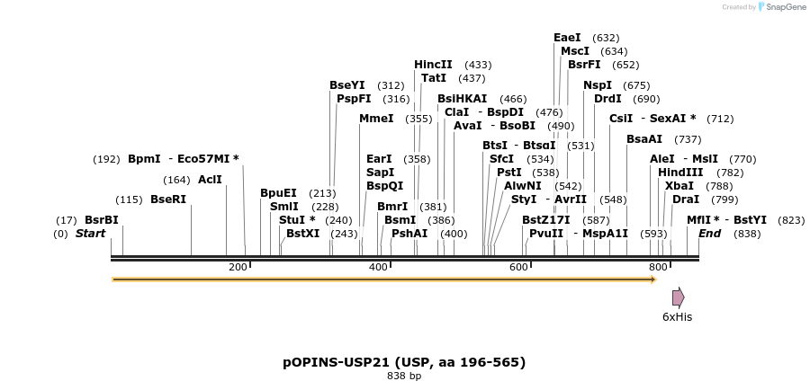 101846_map
