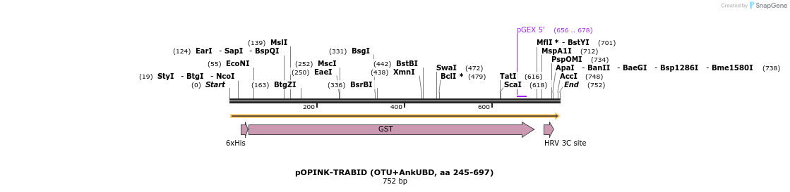 101852_map