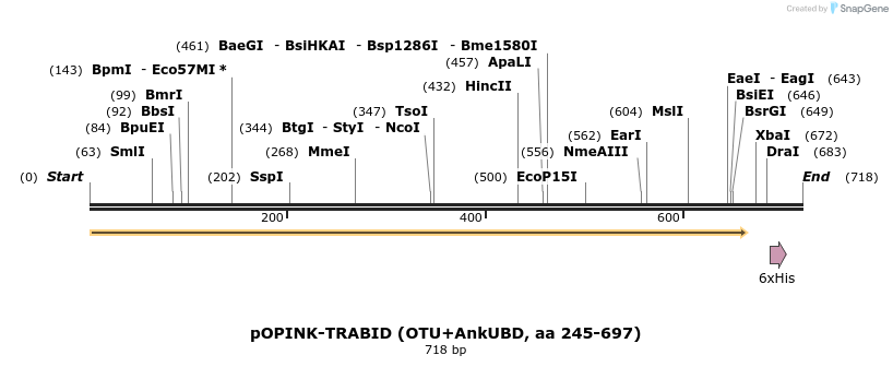 101853_map