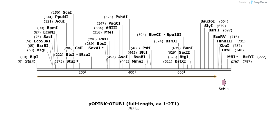 101862_map