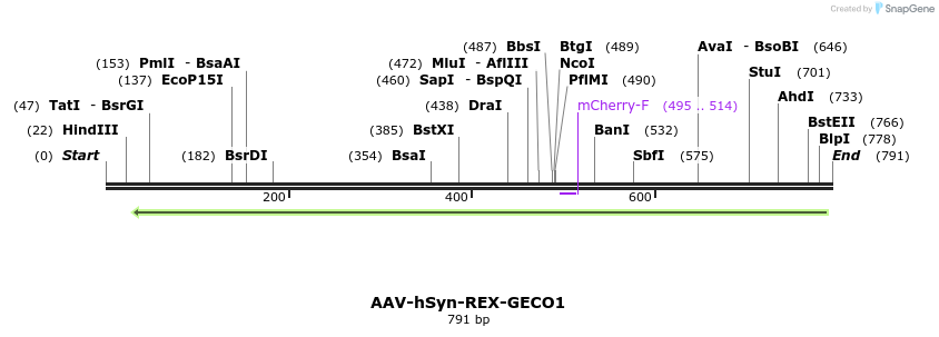 101872_map