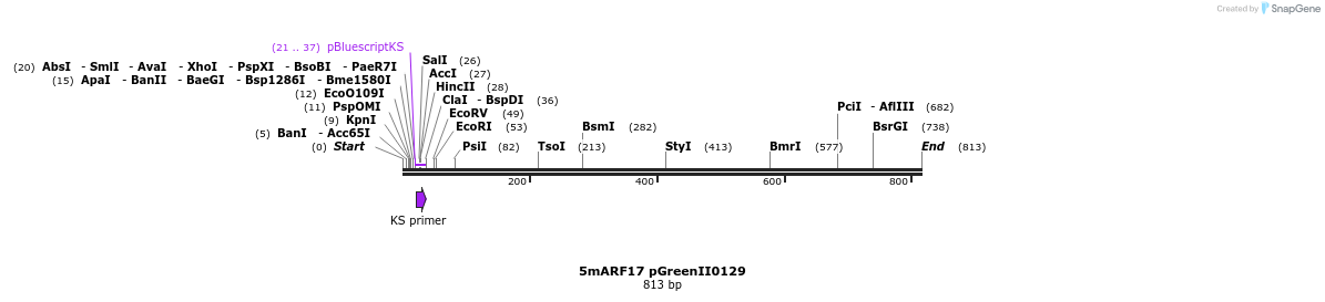 101874_map