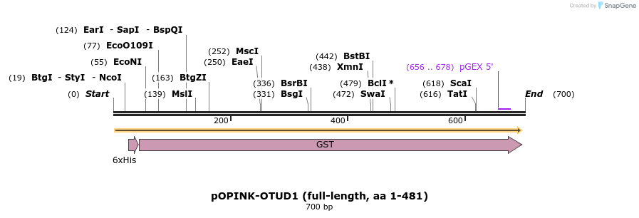101875_map
