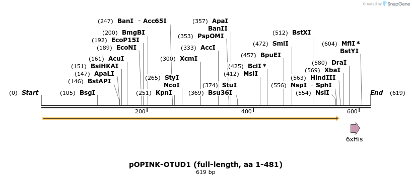101876_map