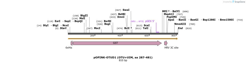 101877_map