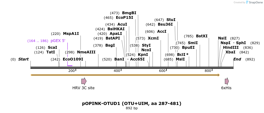 101879_map