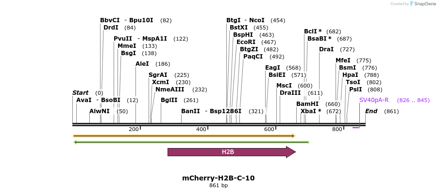 101881_map