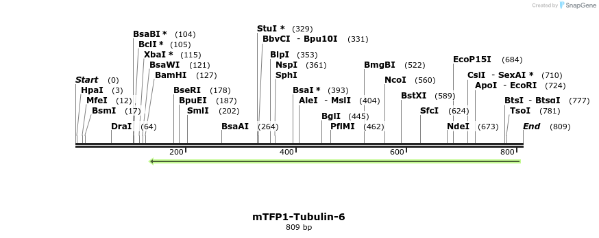101886_map