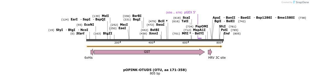 101888_map