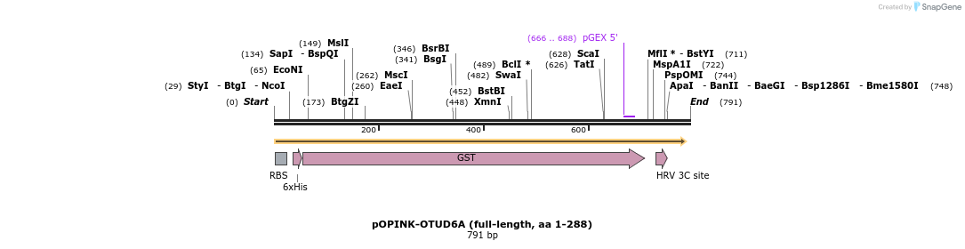 101890_map