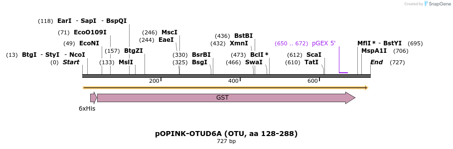 101892_map