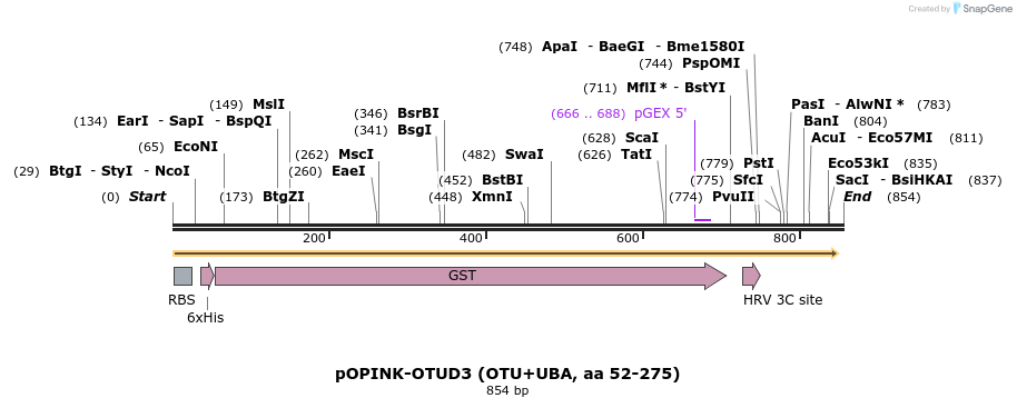 101894_map