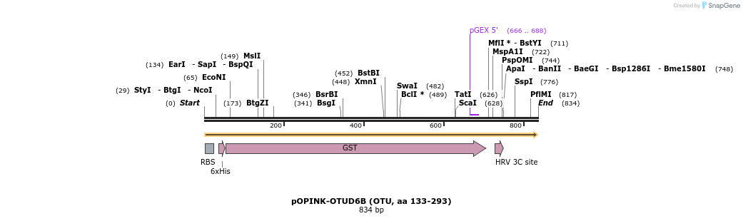 101896_map