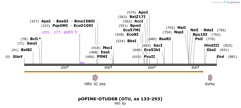 101897_map