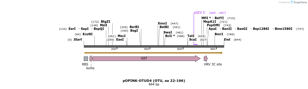 101898_map