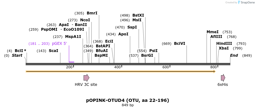 101899_map