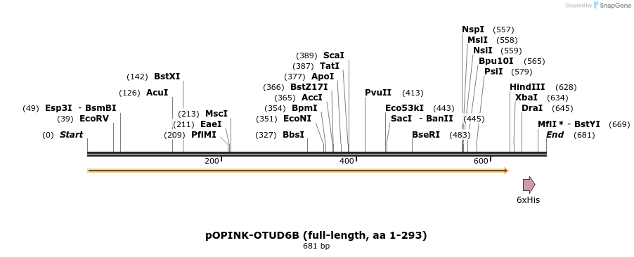 101900_map