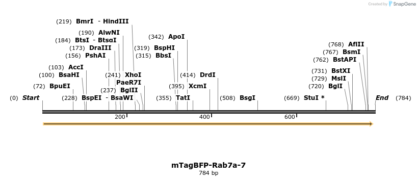 101908_map