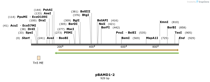 101910_map