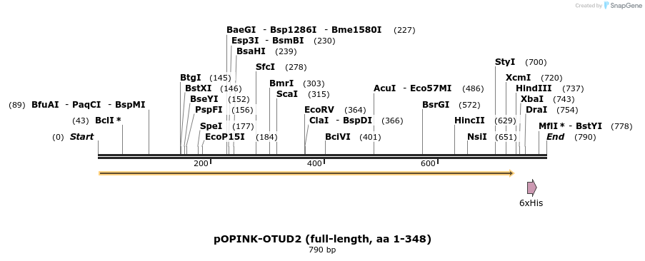 101912_map
