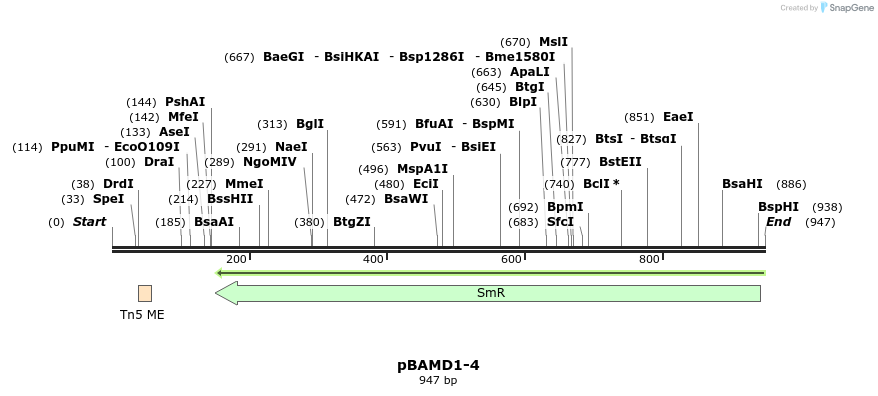 101913_map