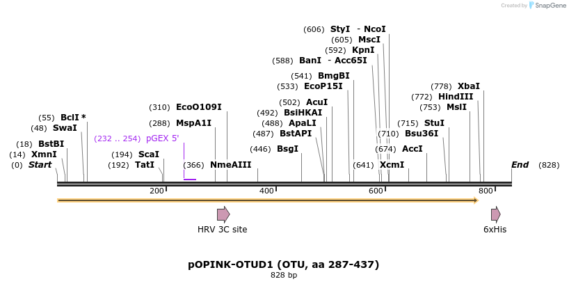 101915_map