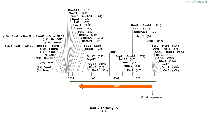 101925_map