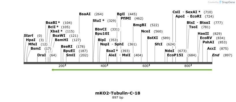 101931_map