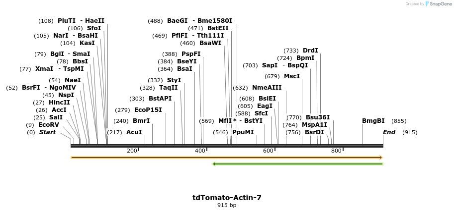 101932_map