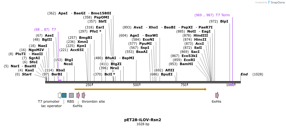 101937_map