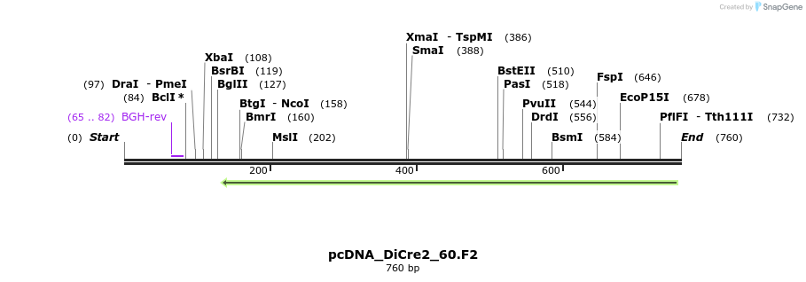 101950_map