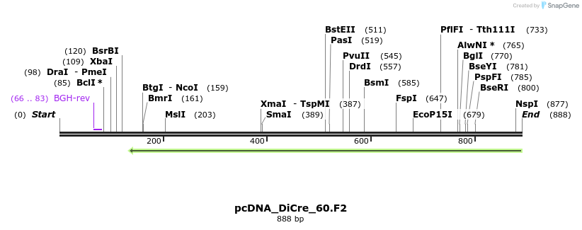 101951_map
