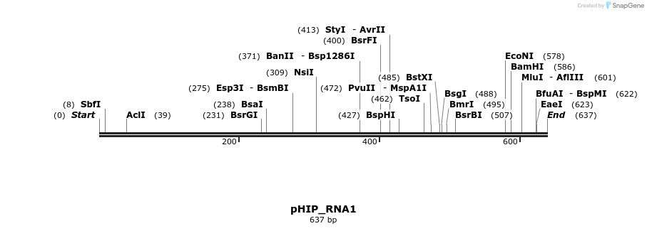 101958_map