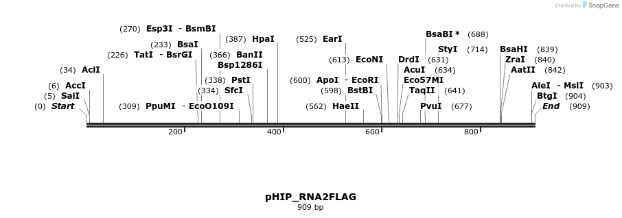 101959_map