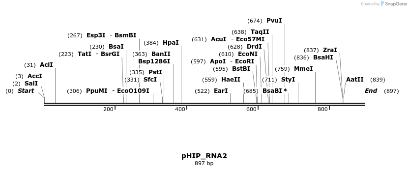 101960_map