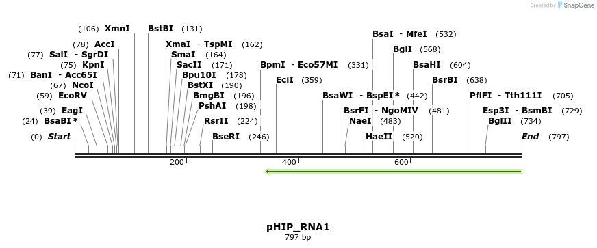 101961_map