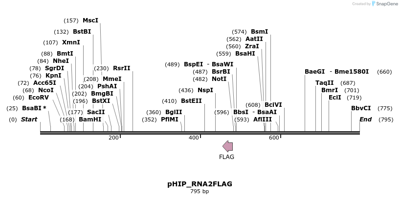 101962_map