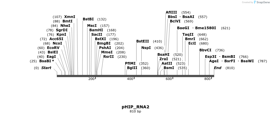 101963_map